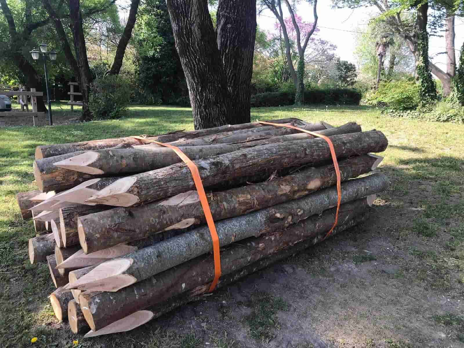 Building Materials / Timber Industry